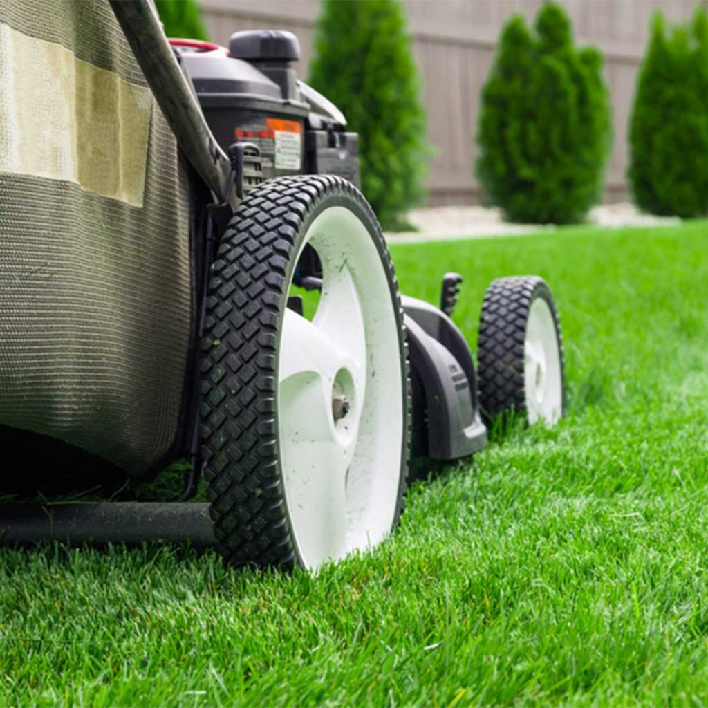 Landscape Design and Installation Services | Rio Green Landscaping